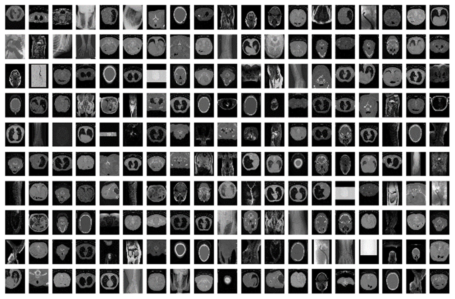 RadiologyNET mosaic.jpg